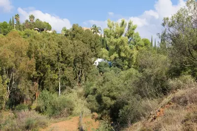 Residential Plot in Benahavís