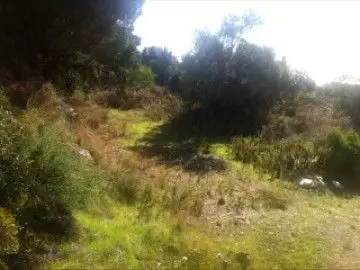 Residential Plot in Elviria