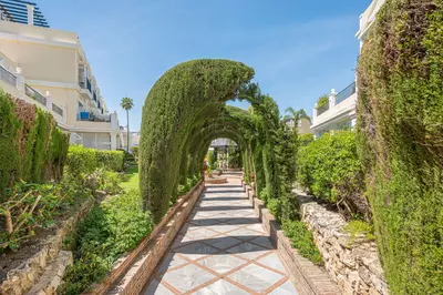 Ground Floor Apartment in Nueva Andalucía