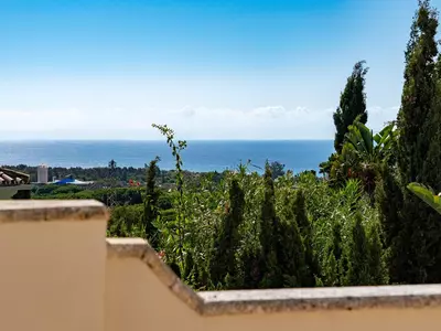 Detached Villa in El Rosario