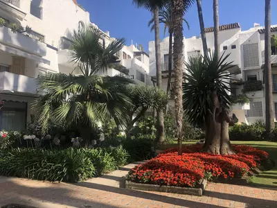 Ground Floor Apartment in Puerto Banús