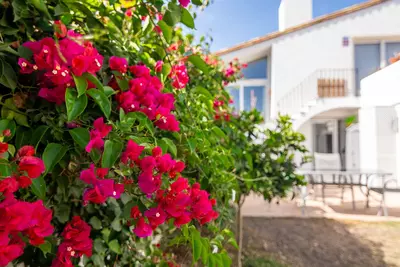 Semi-Detached House in Estepona