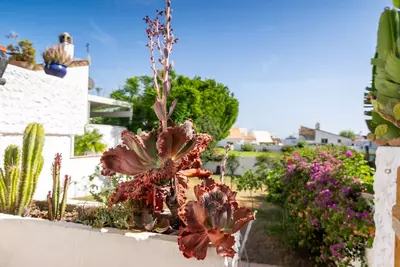 Semi-Detached House in Estepona