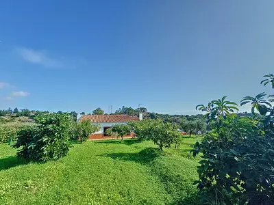 Finca - Cortijo in El Padron