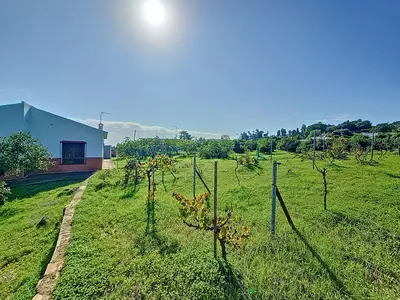 Finca - Cortijo in El Padron