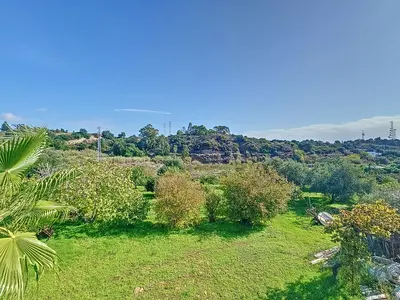 Finca - Cortijo in El Padron