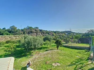 Finca - Cortijo in El Padron