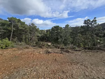 Residential Plot in Benahavís