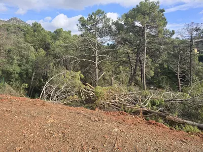 Residential Plot in Benahavís