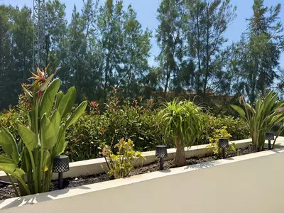 Penthouse in Cabopino