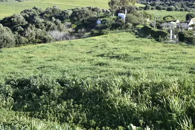 Land in Casares