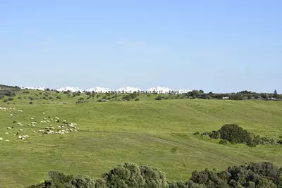 Land in Casares
