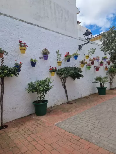 Top Floor Apartment in Estepona