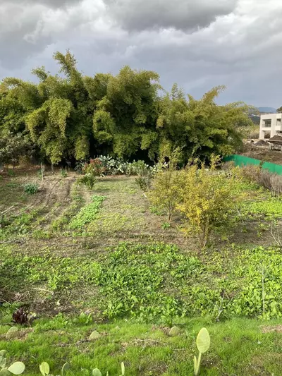 Residential Plot in Casares