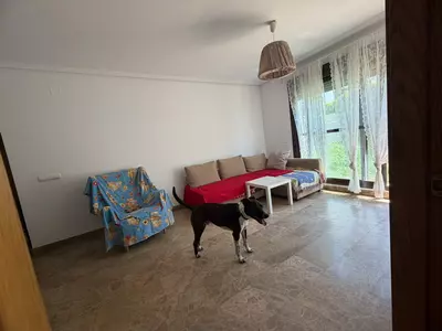Ground Floor Apartment in Selwo