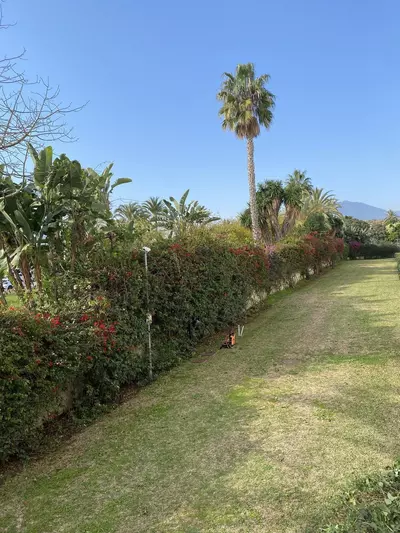 Ground Floor Apartment in Puerto Banús