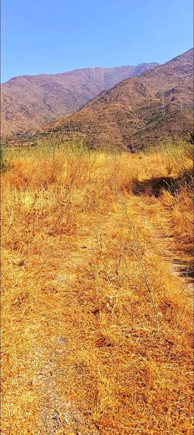Land in Estepona