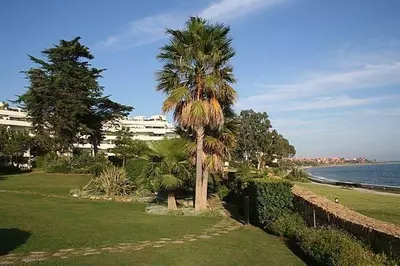 Semi-Detached House in Estepona