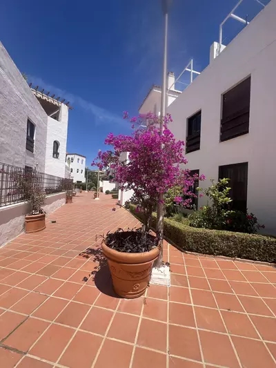 Ground Floor Apartment in Nueva Andalucía