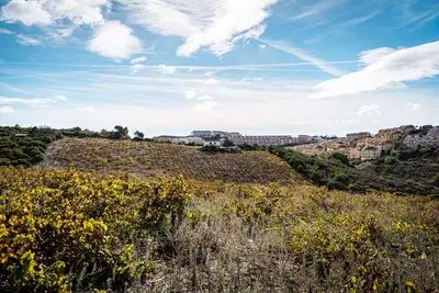 Finca - Cortijo in Manilva
