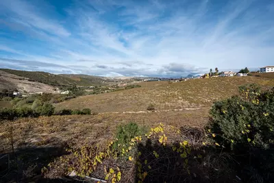 Finca - Cortijo in Manilva