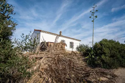 Finca - Cortijo in Manilva