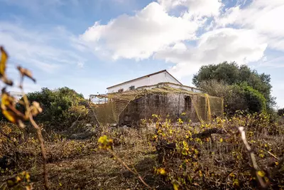 Finca - Cortijo in Manilva