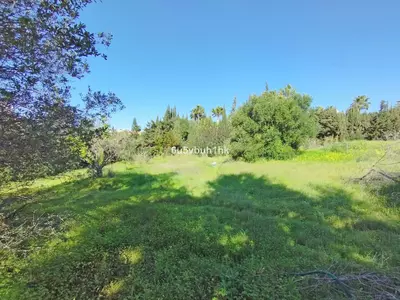 Residential Plot in Bel Air