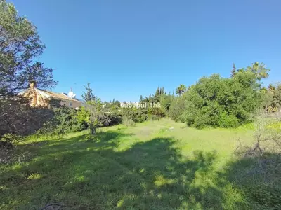 Residential Plot in Bel Air