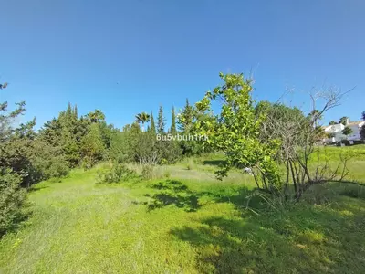 Residential Plot in Bel Air