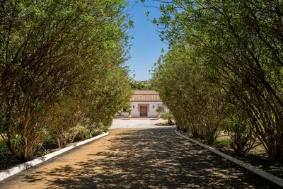 Finca - Cortijo in Cancelada
