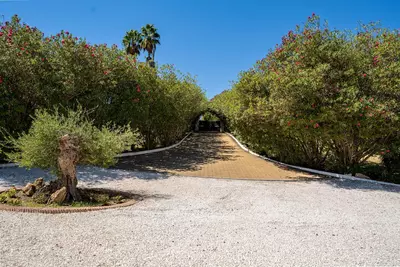 Finca - Cortijo in Cancelada