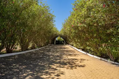 Finca - Cortijo in Cancelada