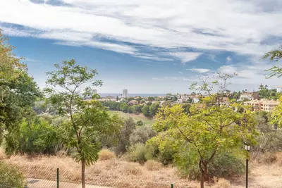 Ground Floor Apartment in Elviria