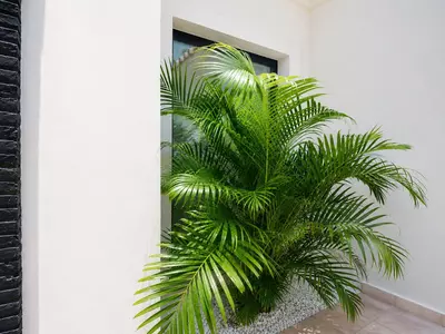 Detached Villa in El Paraiso