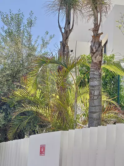 Detached Villa in Nueva Andalucía