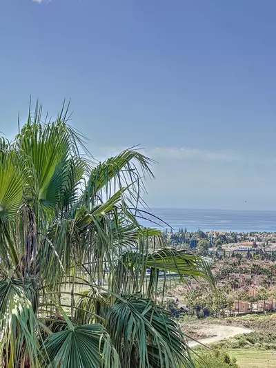 Detached Villa in Nueva Andalucía