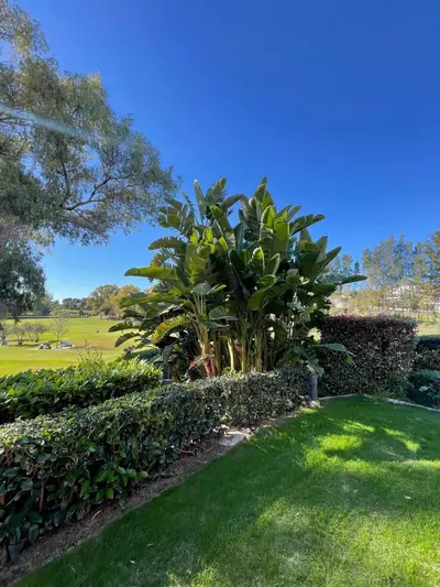 Middle Floor Apartment in Estepona