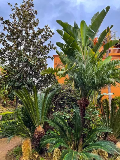 Middle Floor Apartment in Estepona