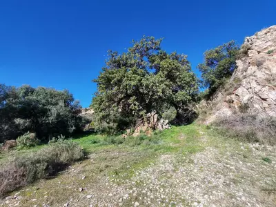 Land in Marbella