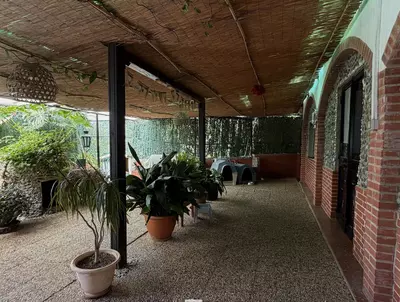 Finca - Cortijo in Estepona