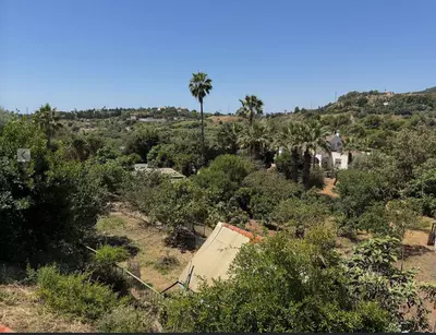 Finca - Cortijo in Estepona