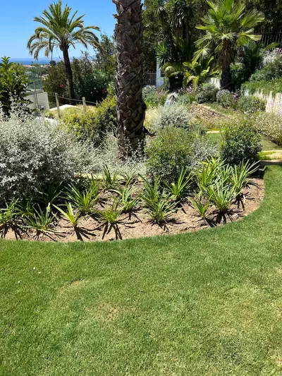 Detached Villa in Marbella