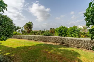 Ground Floor Apartment in Casares