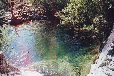 Finca - Cortijo in Estepona