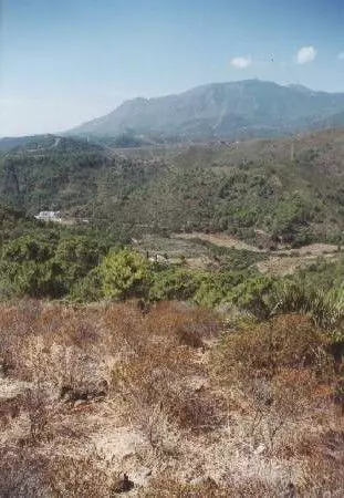 Finca - Cortijo in Estepona