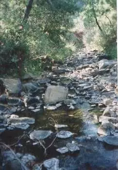 Finca - Cortijo in Estepona