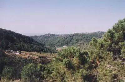 Finca - Cortijo in Estepona