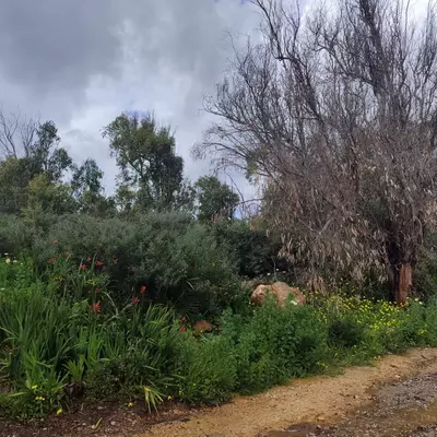 Residential Plot in Manilva