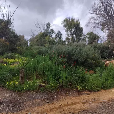 Residential Plot in Manilva